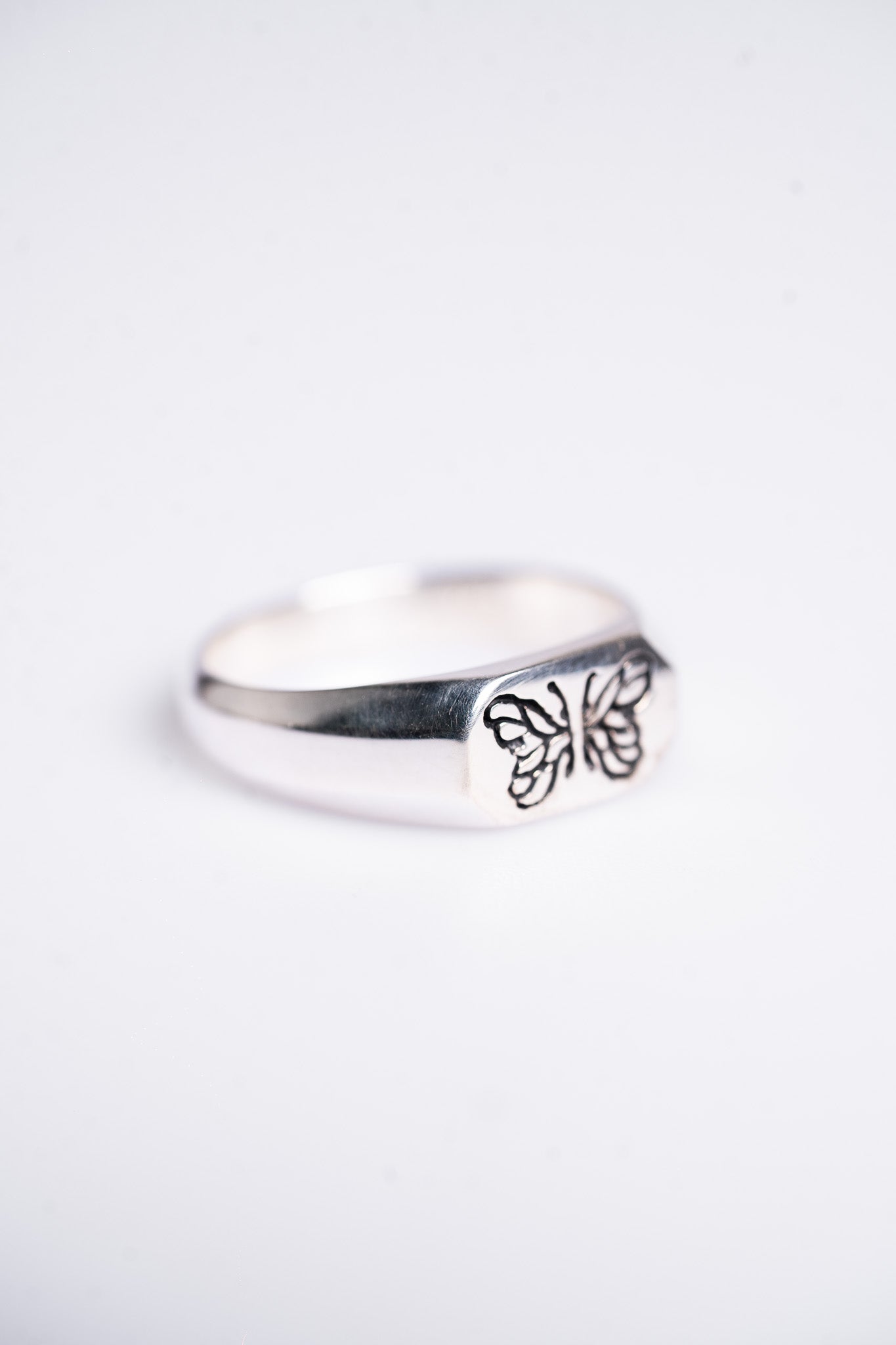 Signet Butterfly
