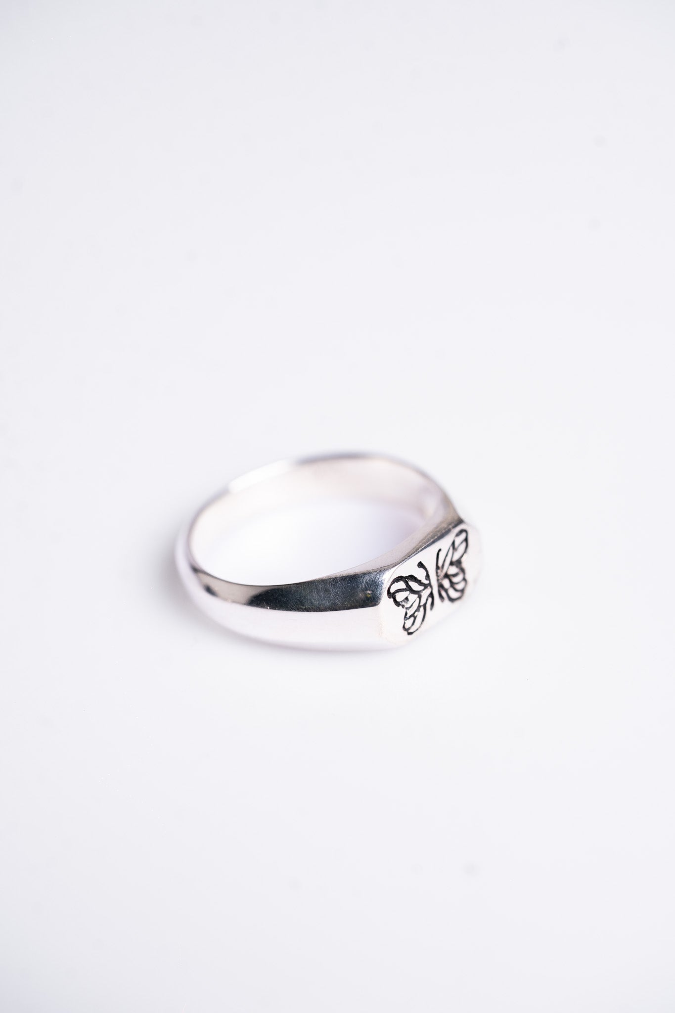 Signet Butterfly