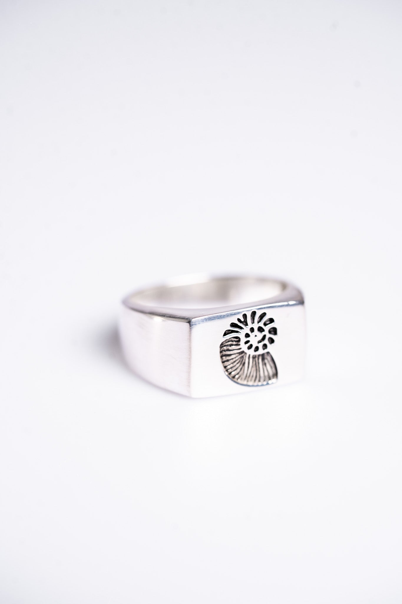 Signet Ningaloo Shell