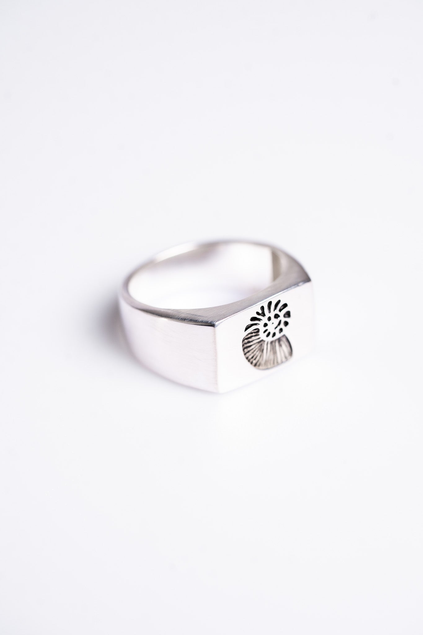 Signet Ningaloo Shell